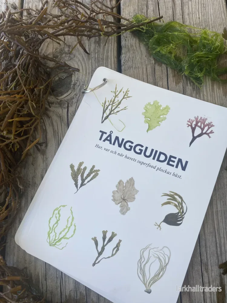 Tångguiden - Bild 2