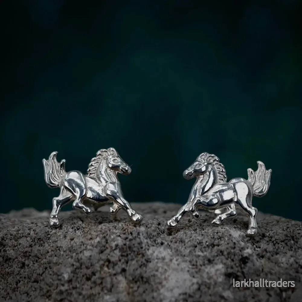 SPIRIT - Silver Örhänge