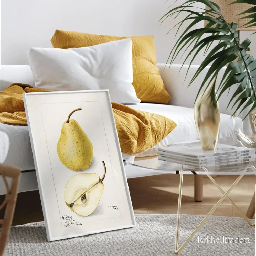 Pyrus Communis Poster Pyrus Communis Poster