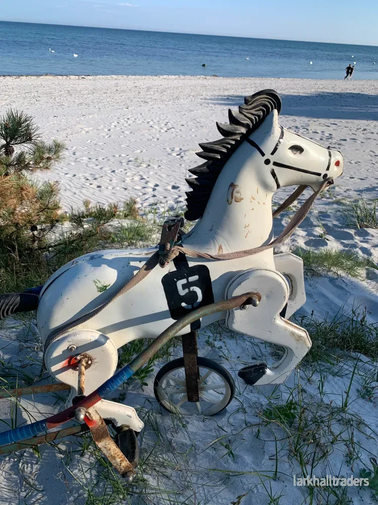 Häst med vagn - Bild 3