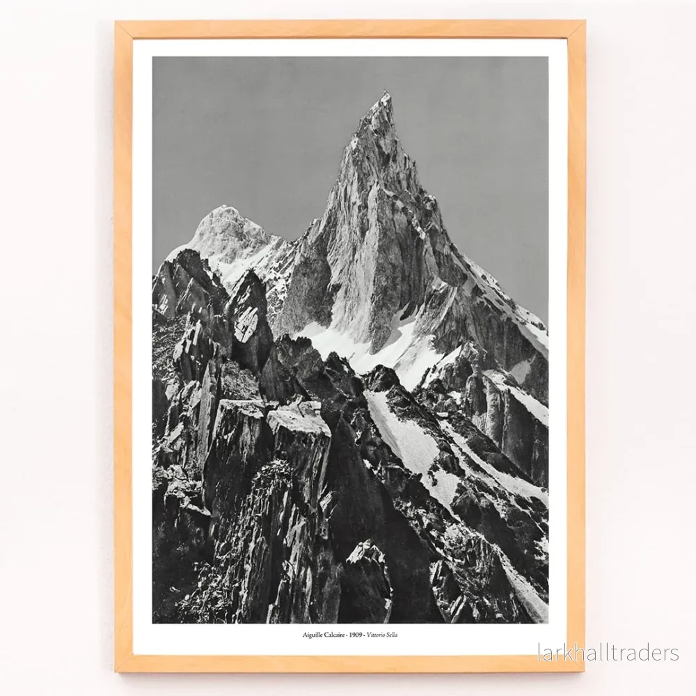 Kalknål Poster - Bild 3