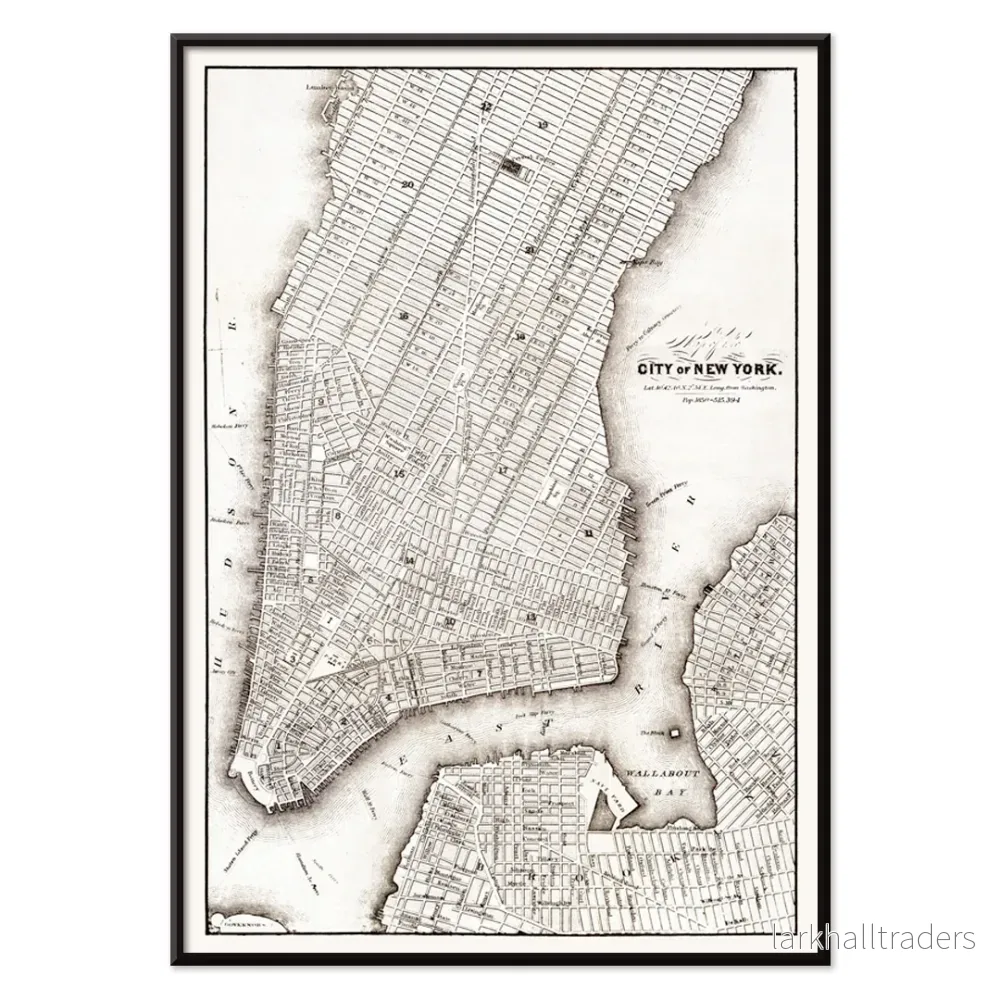 Karta över New York Poster - Bild 2
