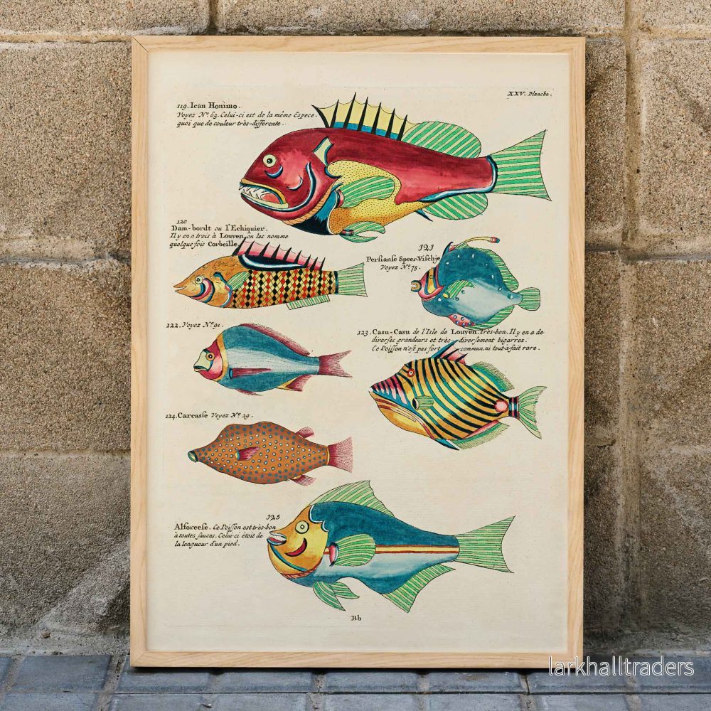Färgstarka och surrealistiska fiskillustrationer Poster