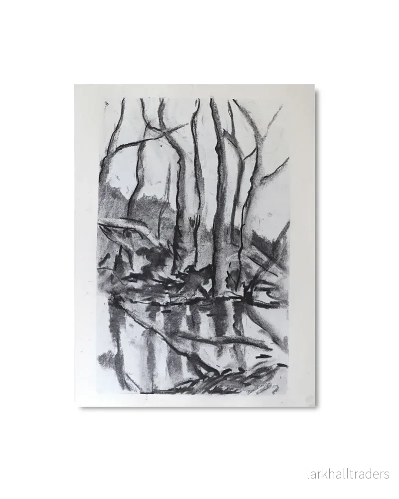 North swamp Original North swamp Original