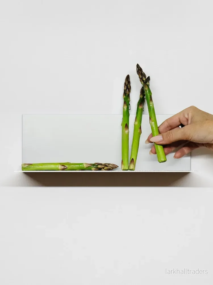 ASPERGE Hylla - Bild 3