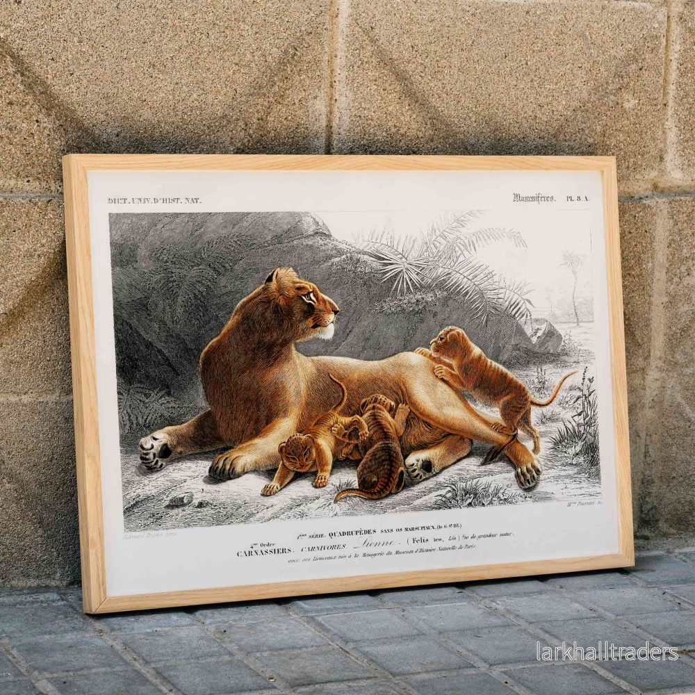 Lejonhona Poster - Bild 3