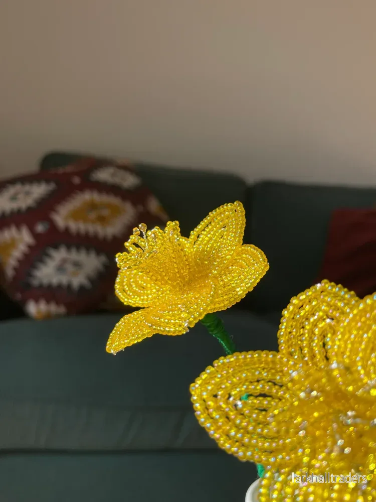 Daffodils pearled - Bild 3