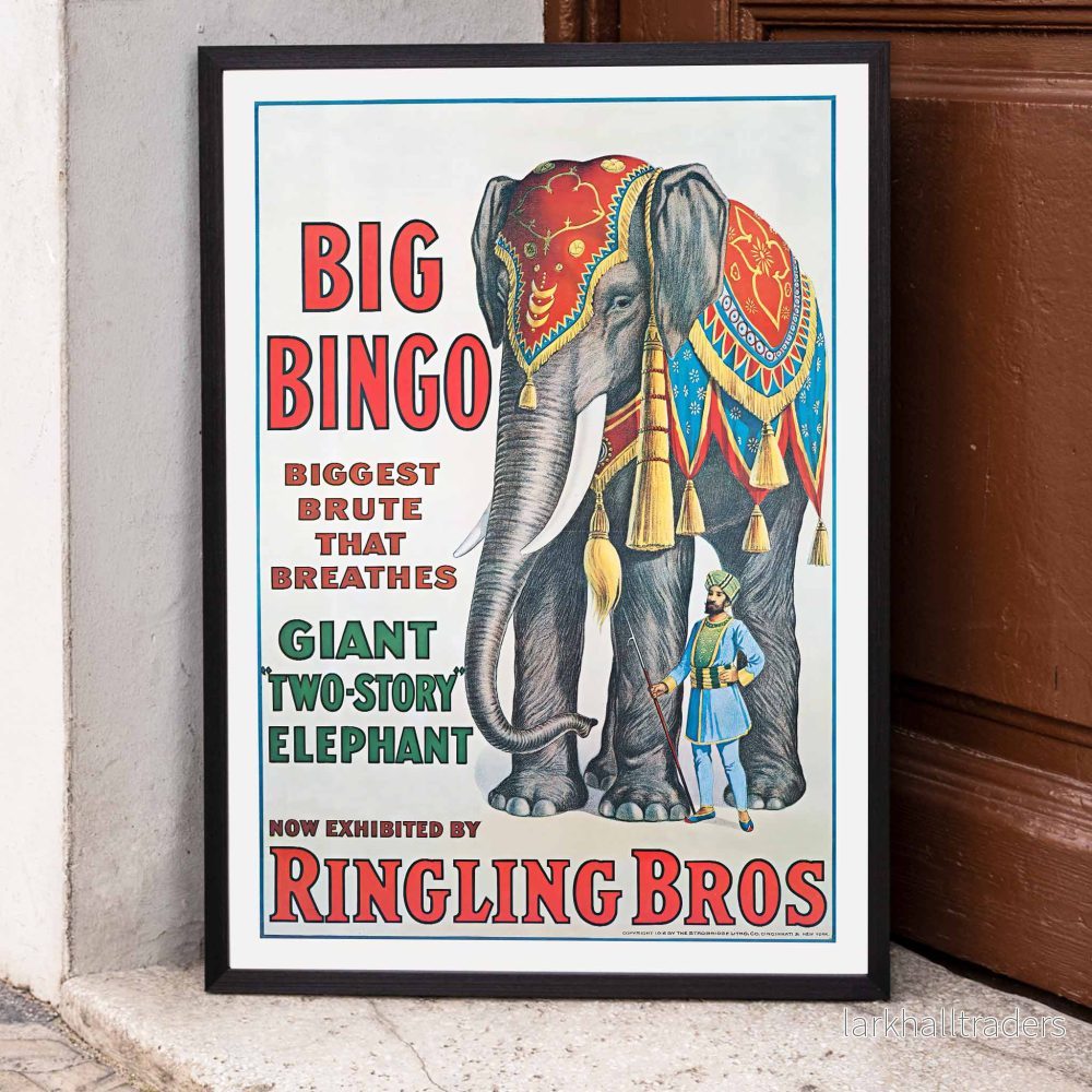 Big Bingo Poster