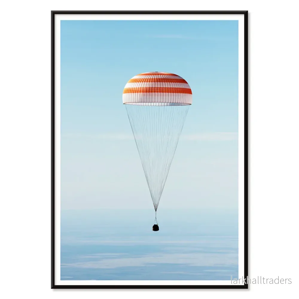 Soyuz MS-02 rymdfarkost Poster - Bild 2
