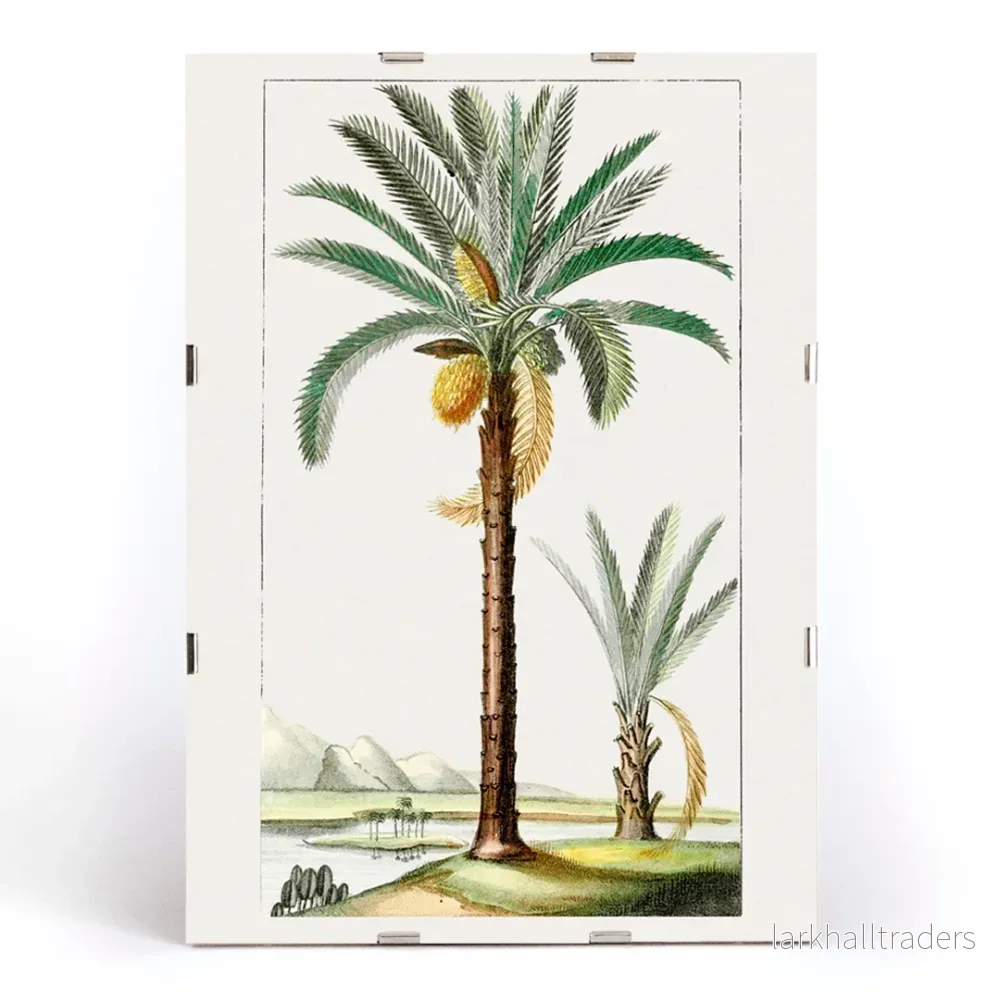 Handritad palm Poster - Bild 3
