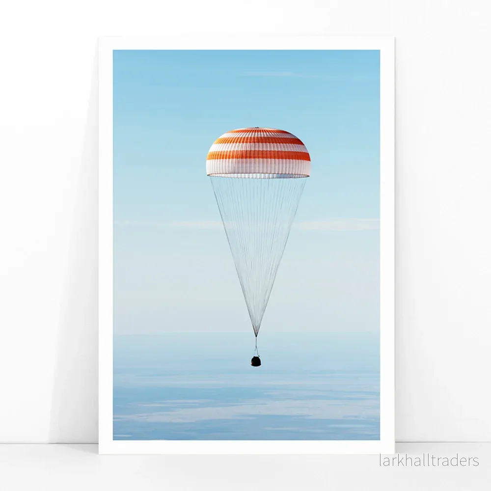 Soyuz MS-02 rymdfarkost Poster - Bild 3
