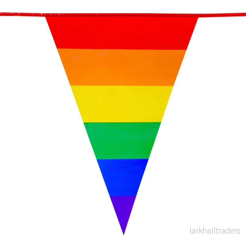 Flaggirlang, regnbågsflaggor 8 m - Bild 2
