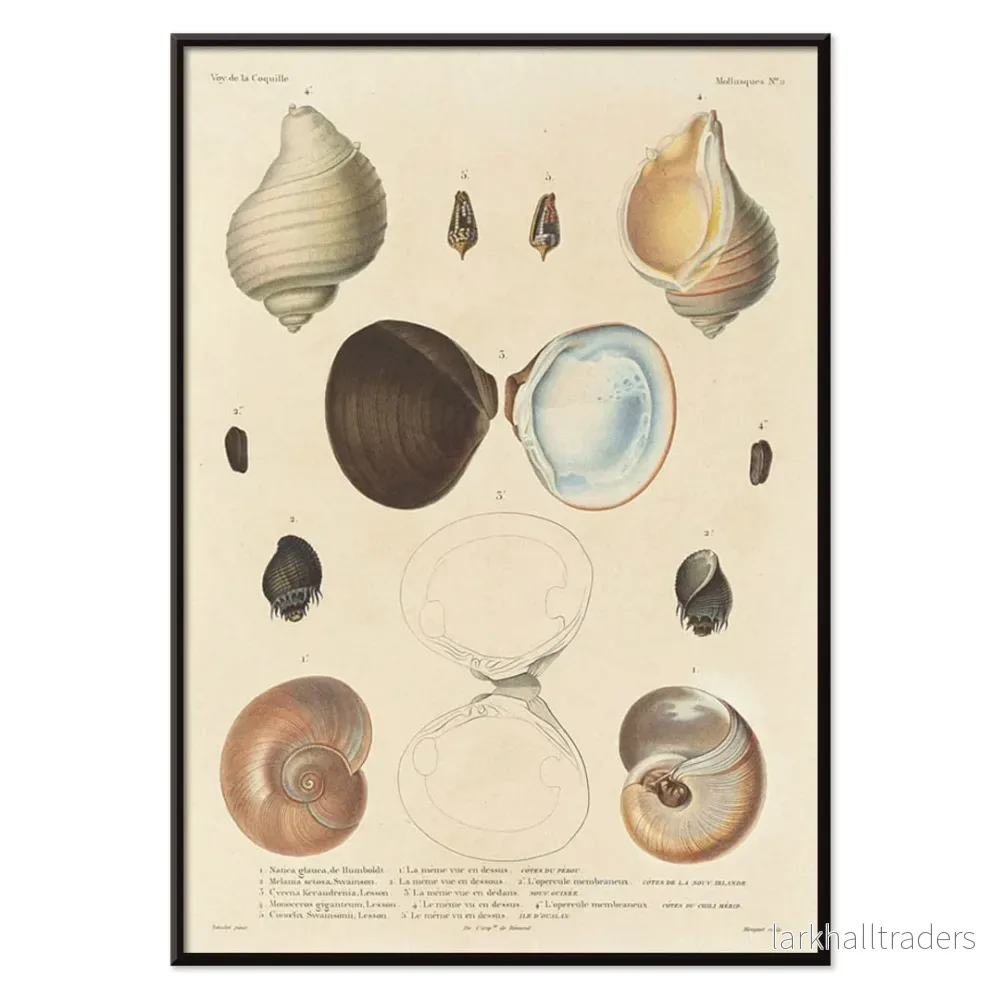 Voyage autour du monde 56 Poster - Bild 2