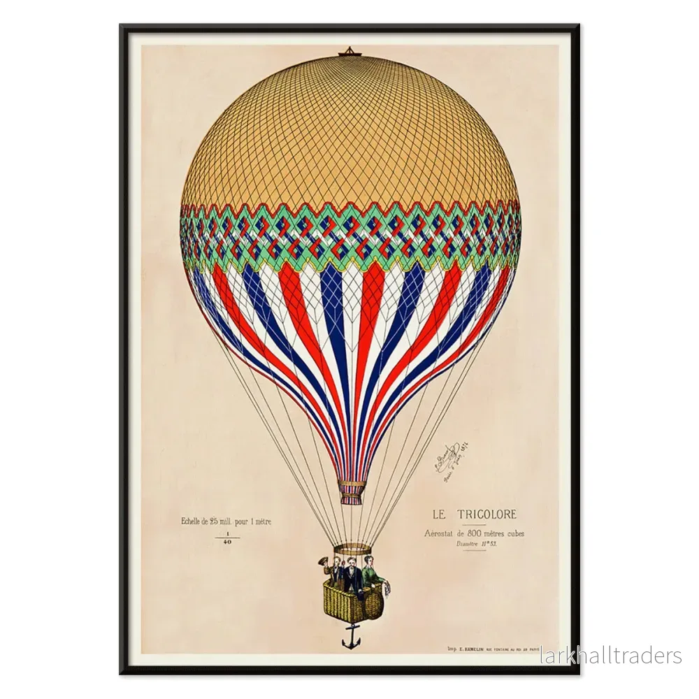 Trikolorballongen Poster - Bild 2