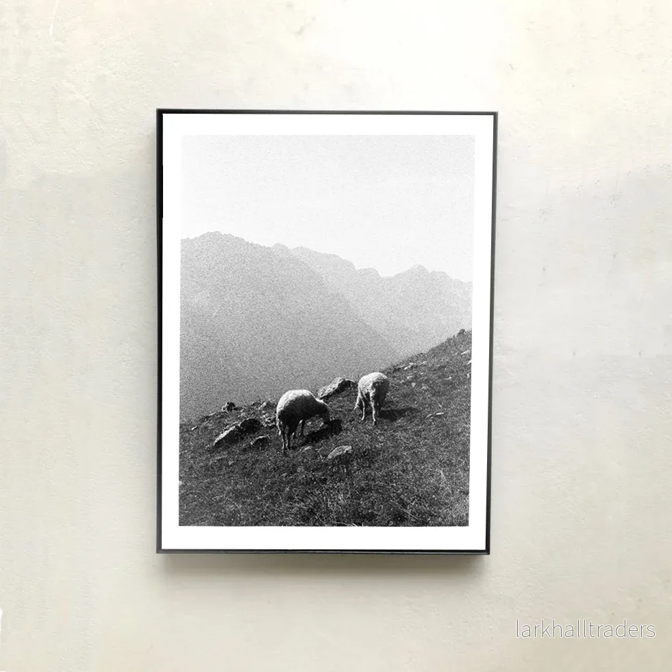 Bardhoka Print - Bild 2