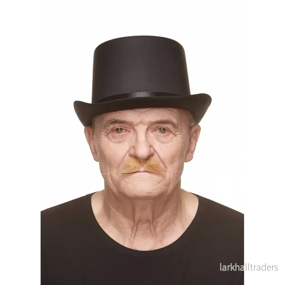Mustasch, baron blond - Bild 2