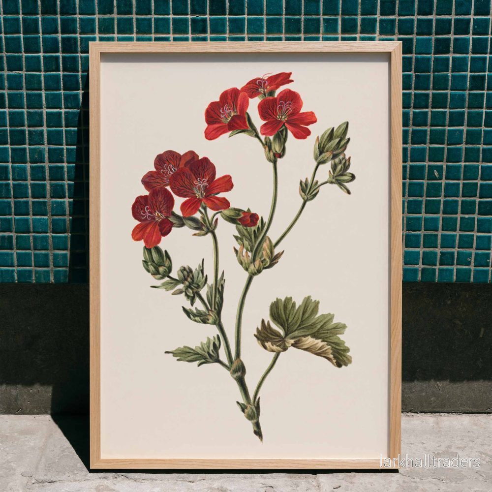 Röd blomma Poster Röd blomma Poster