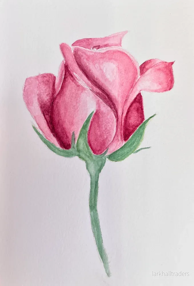 Pink Rose - Original Akvarellmålning - Bild 3