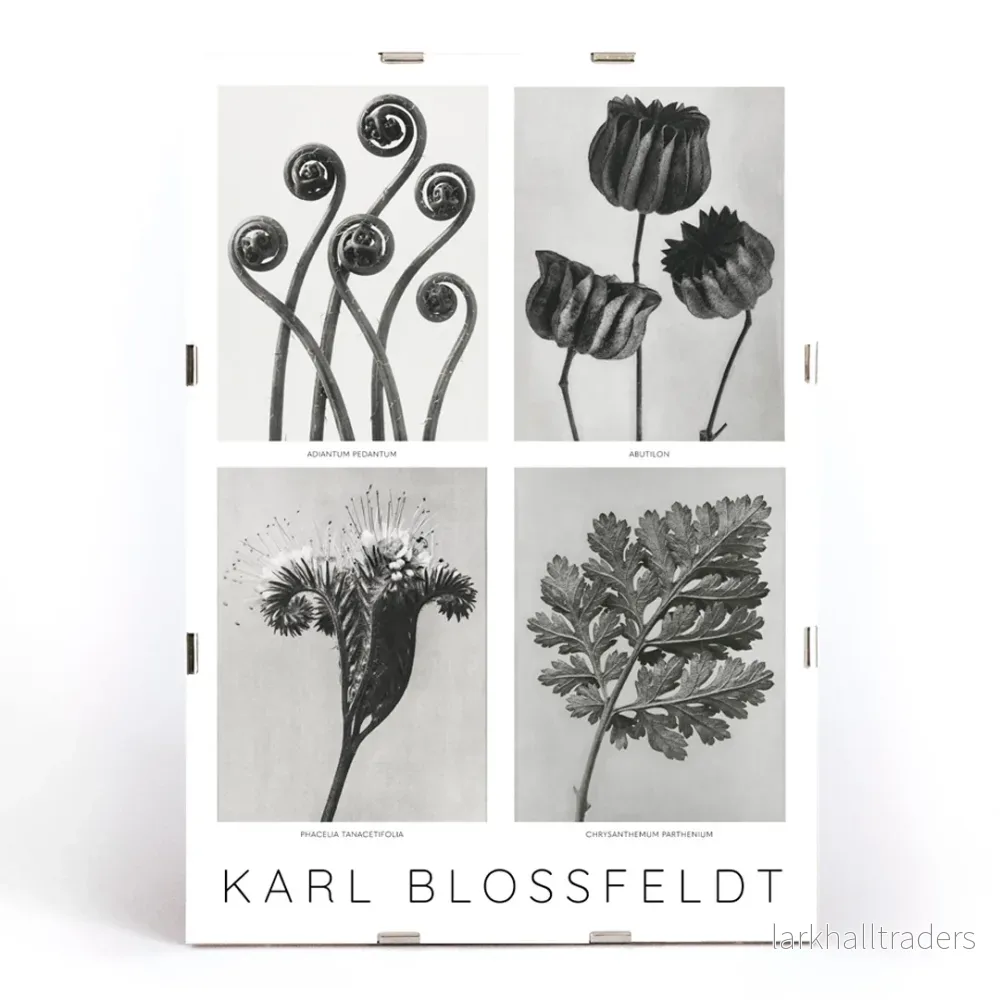 Blommor Poster 2 - Bild 3