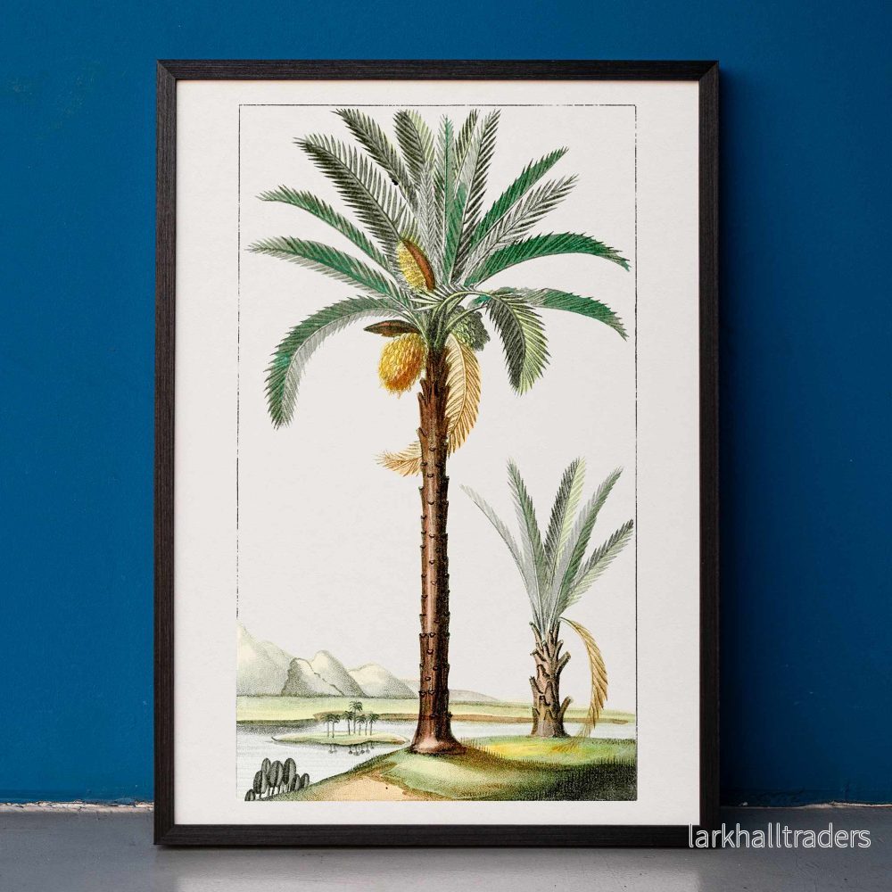 Handritad palm Poster