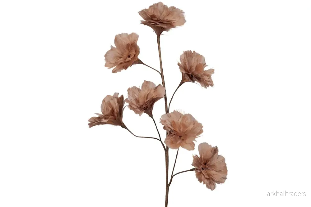 Fjäderblomma Kvist Mullvad Fjäderblomma Kvist Mullvad