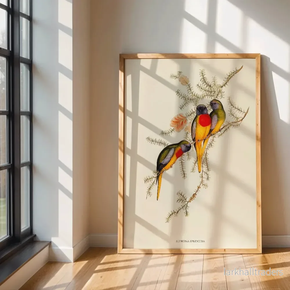 Praktgräsparakit Euphema Splendida Poster - Bild 3