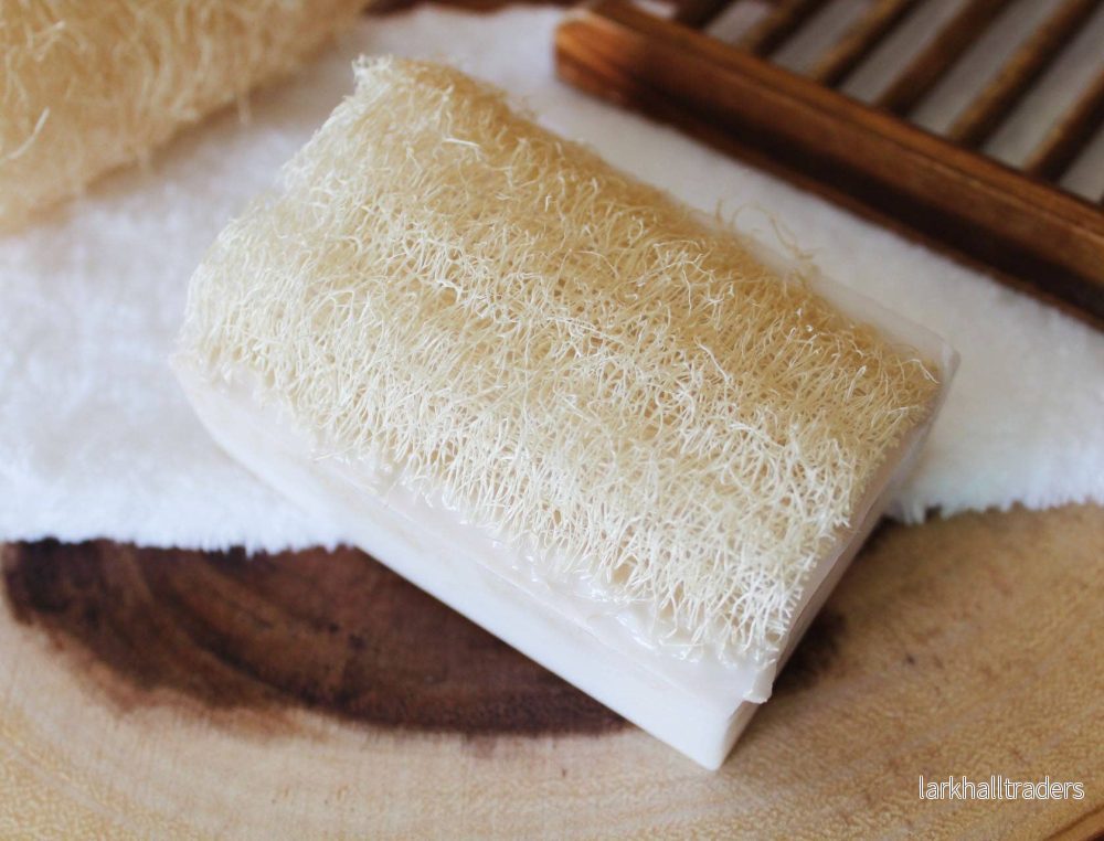 Loofah Kokosnöt Sheasmör Tvålbar - Bild 3