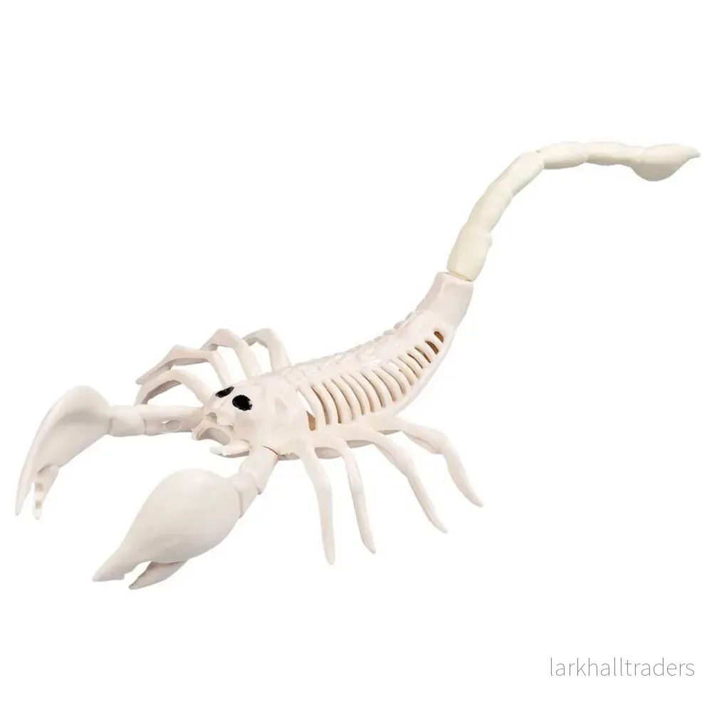 Prop, skelett scorpion 31 cm