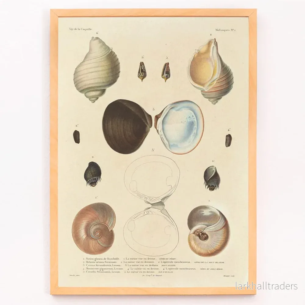 Voyage autour du monde 56 Poster - Bild 3
