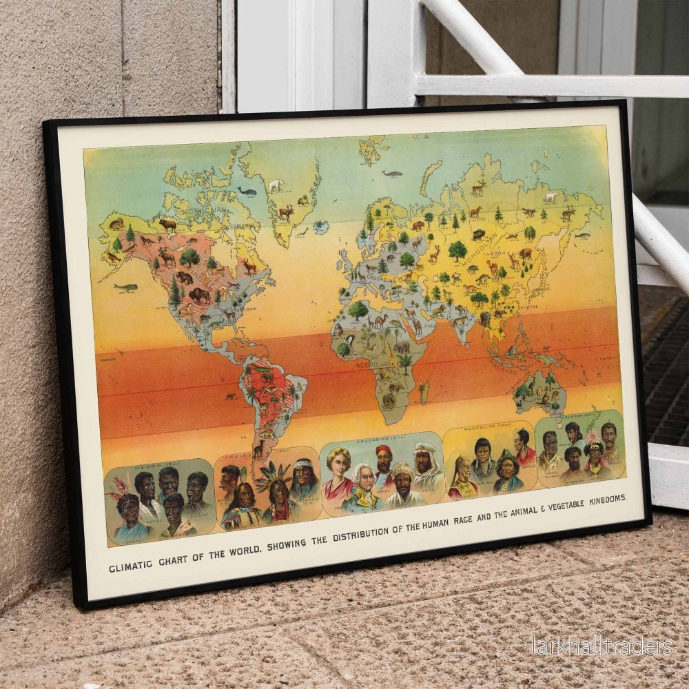 Klimatkarta över världen Poster Klimatkarta över världen Poster