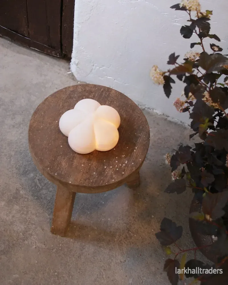 Knopp Lampa