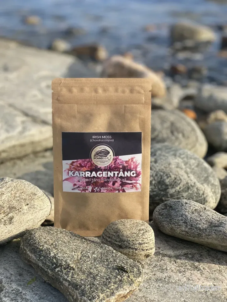 Karragentång Karragentång