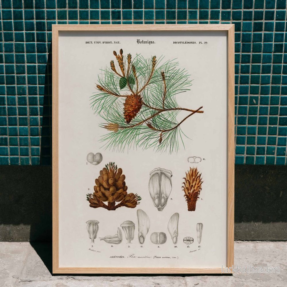 Maritim tall Poster