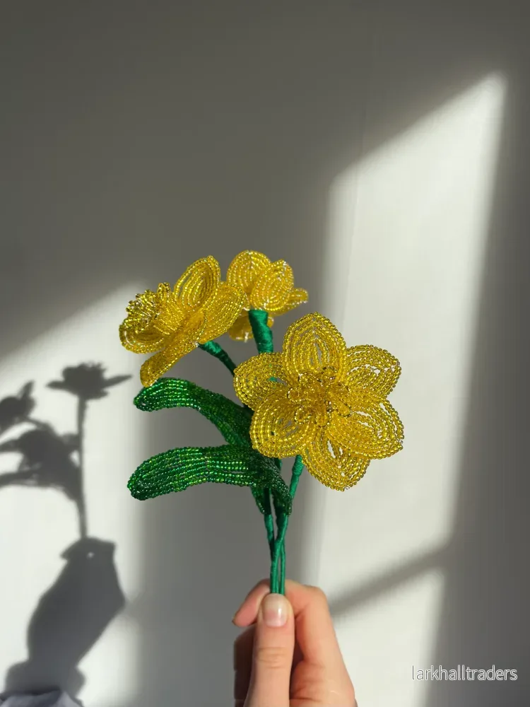 Daffodils pearled