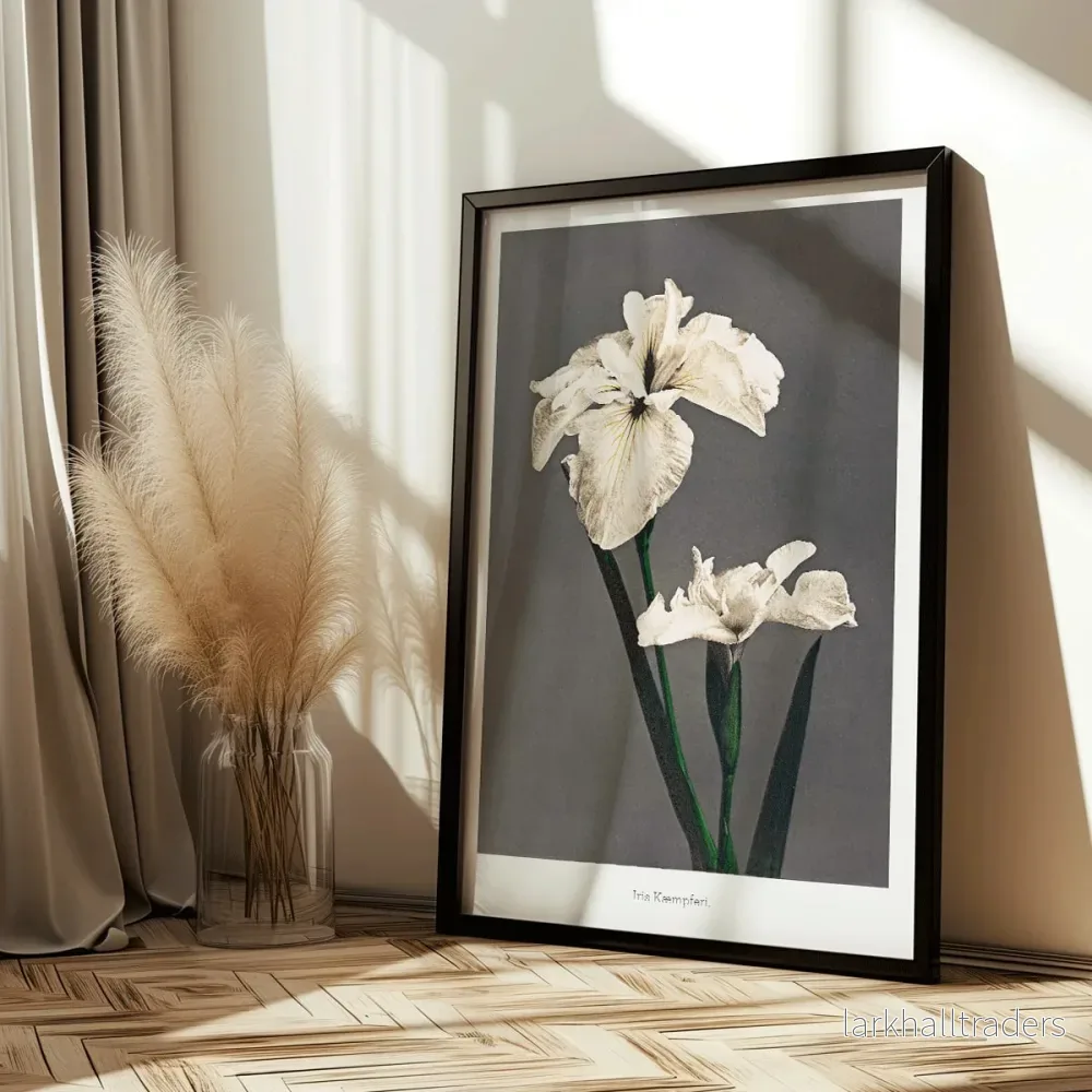 Iris Kämpferi Poster