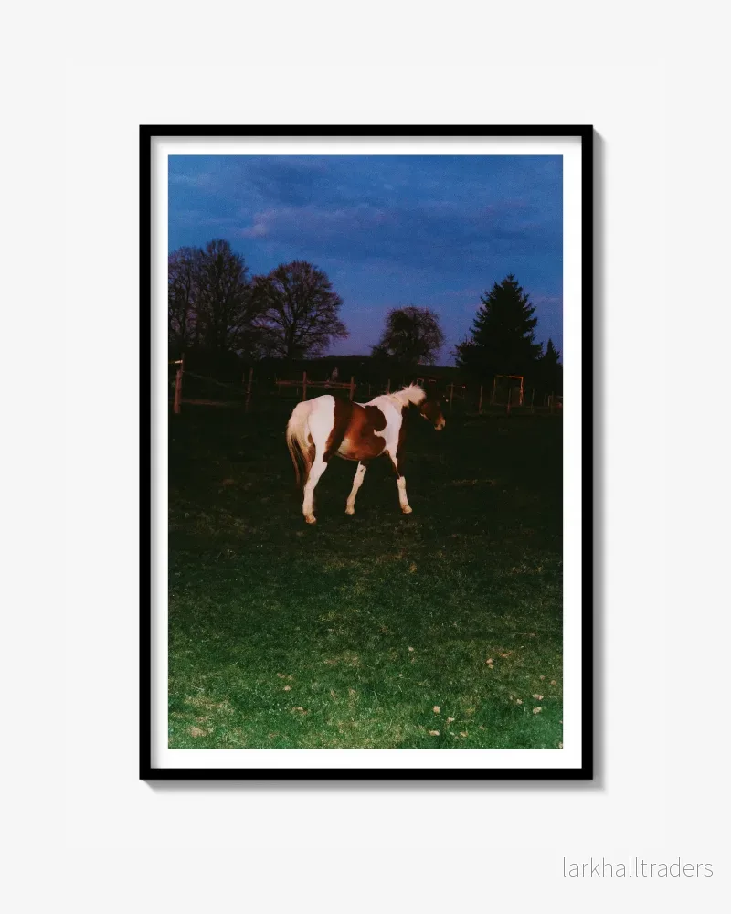 A Horse With No Name – Fine Art Print