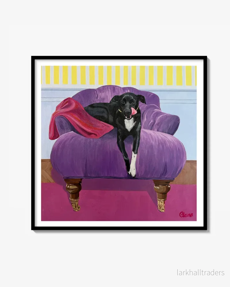 Morris in purple sofa Fine Art Print Morris in purple sofa Fine Art Print