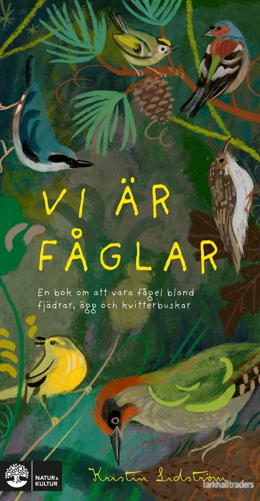 Vi är fåglar : En bok om att vara fågel bland fjädrar, ägg och kvitterbuska Vi är fåglar : En bok om att vara fågel bland fjädrar, ägg och kvitterbuska