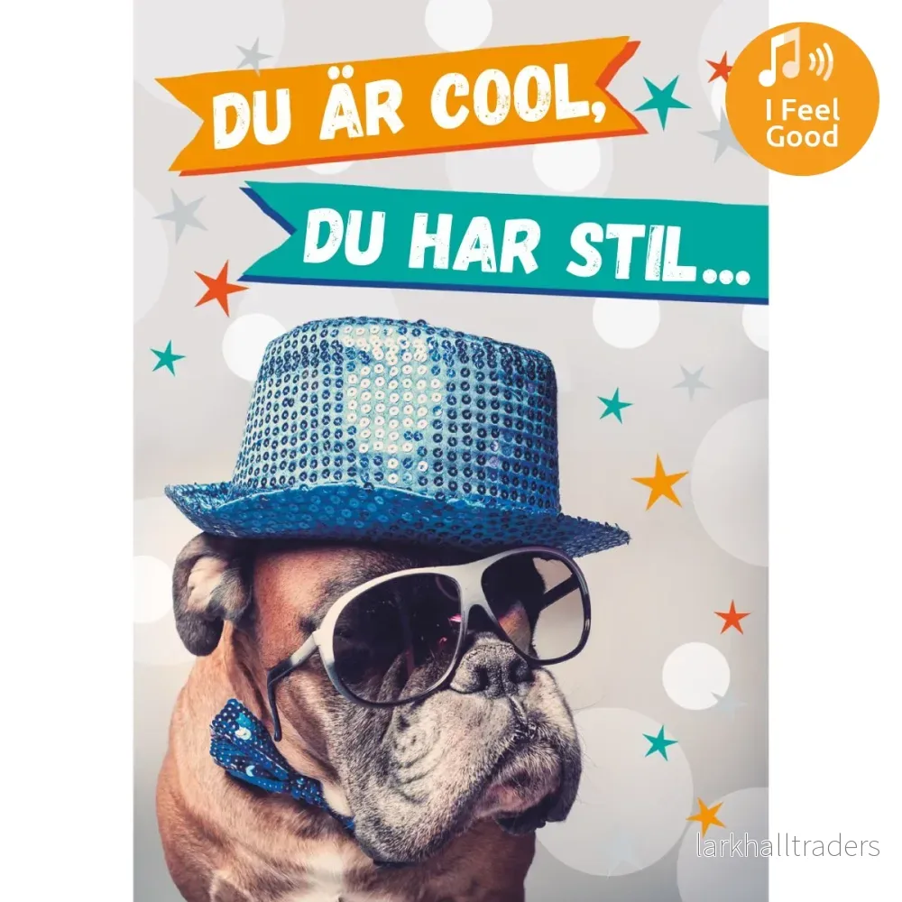 Dubbla kort med ljudeffekt, Du är COOL Dubbla kort med ljudeffekt, Du är COOL