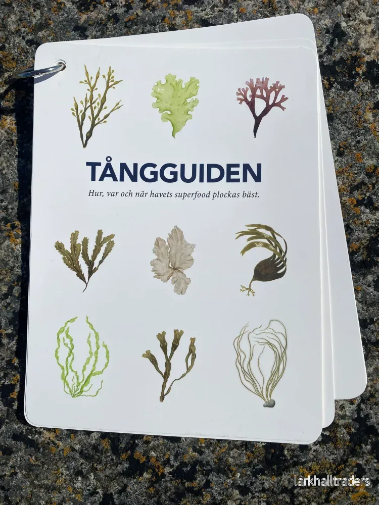 Tångguiden - Bild 3