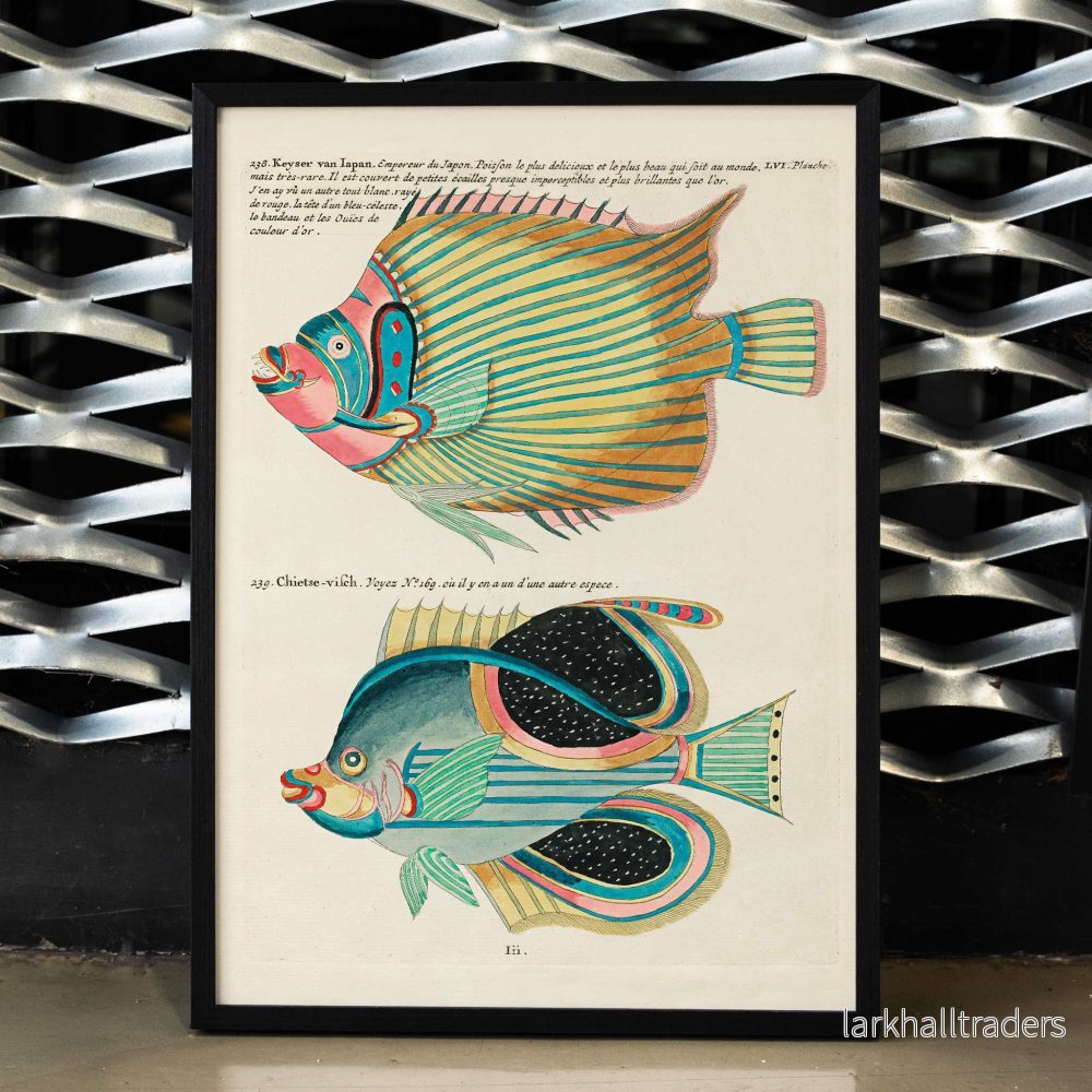 Färgstarka och surrealistiska fiskillustrationer 8 Poster