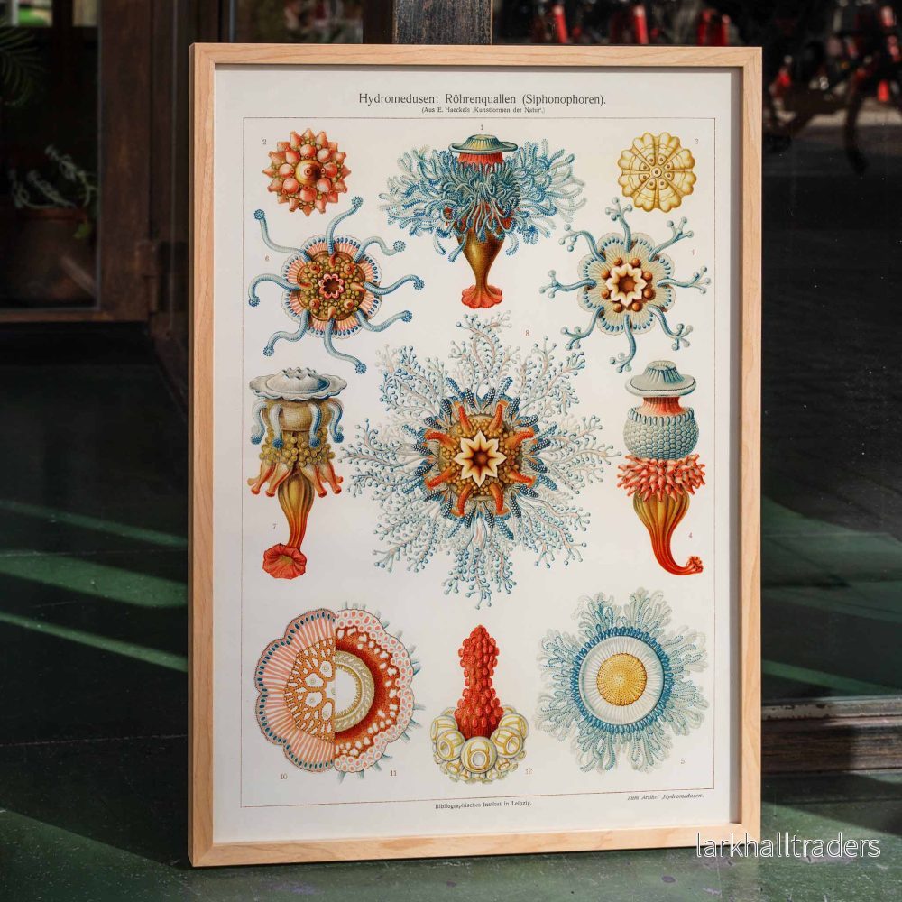 Vintage manetillustration Poster Vintage manetillustration Poster