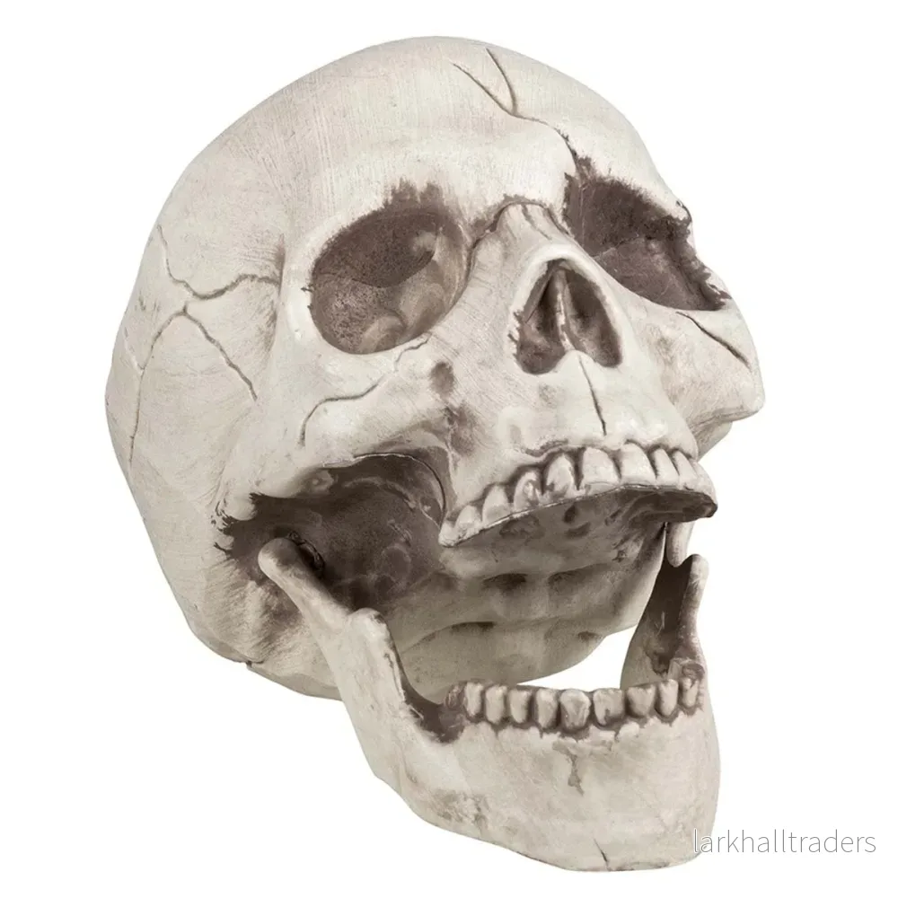 Dödskalle, rörlig käke 16x14x21 cm Dödskalle, rörlig käke 16x14x21 cm