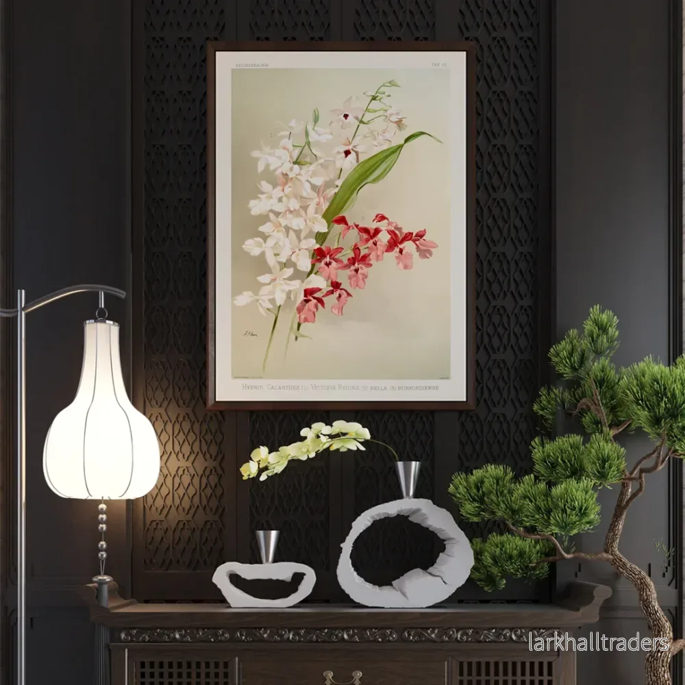 Hybrid calanthes Poster
