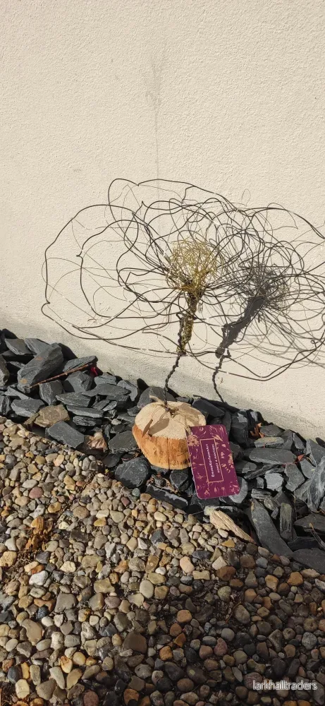 Solros Skulptur - Bild 3