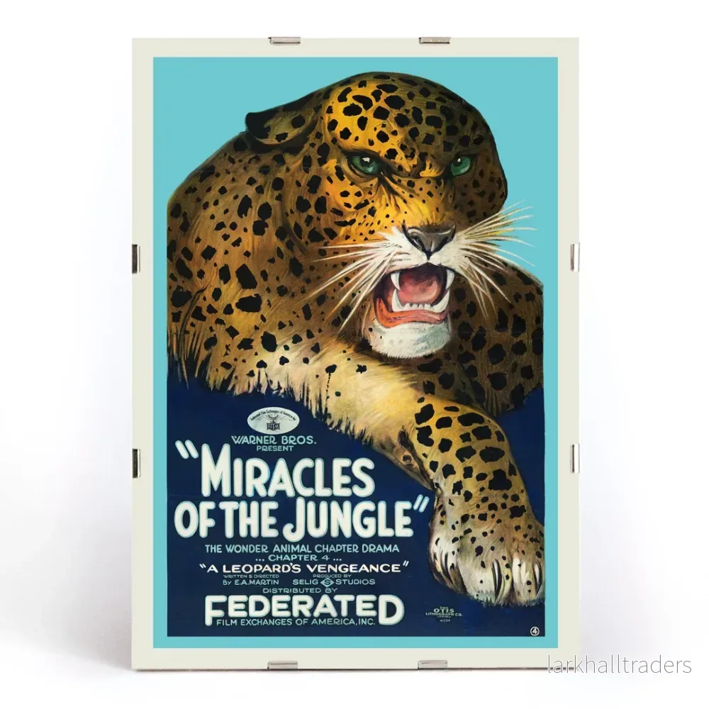 Mirakler i djungeln Poster - Bild 3