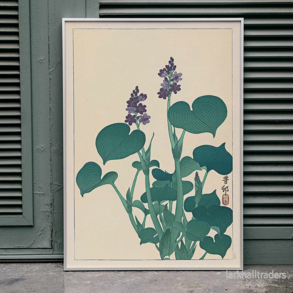 Blommande hosta Poster Blommande hosta Poster