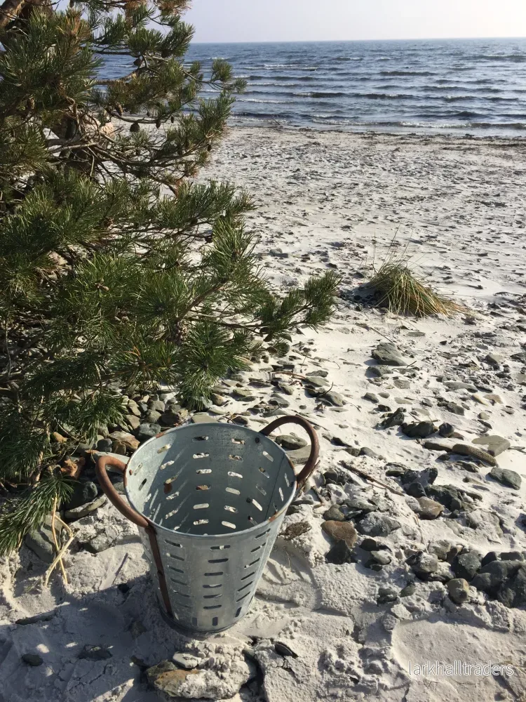 Olivhink med fin patina (Priset är per styck för den minsta hinken) - Bild 2