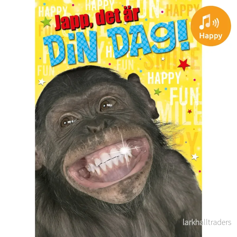 Dubbla kort med ljudeffekt, Din dag