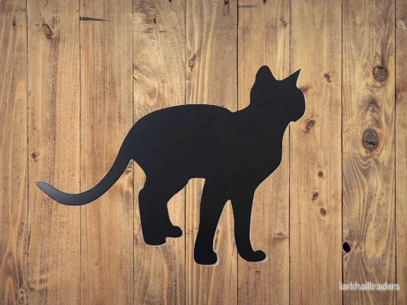 Motiv – Katten Motiv – Katten
